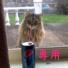 Ohtaki Monamiさん専用イエモン号外のサムネイル