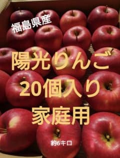 福島県産 陽光(ようこう) 林檎 家庭用20個入！箱込み約6キロ　硬めの林檎ですのサムネイル