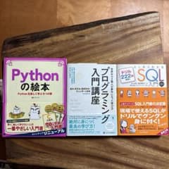 プログラミング学習本 3冊セット Python SQL 入門 - メルカリ