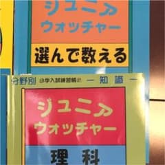まりもさま専用ジュニアウォッチャー練習帳　理解　選んで数える2冊のサムネイル