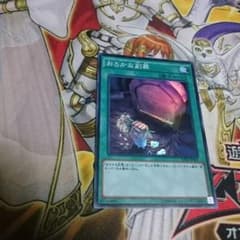 ぜひ買ってください。のサムネイル