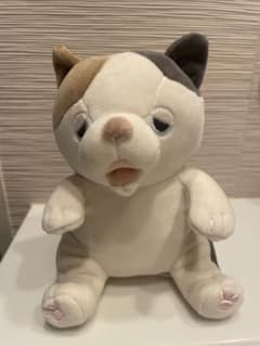 甘噛みハムハム　ゆず みけねこのサムネイル