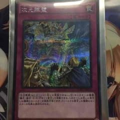 次元障壁 シクのサムネイル