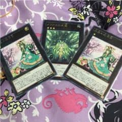 [コダック様専用]森羅の姫芽宮2枚メリアスの木霊セットのサムネイル
