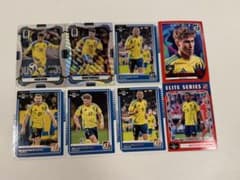 スウェーデン代表 サッカーカード 8枚セット Paniniのサムネイル