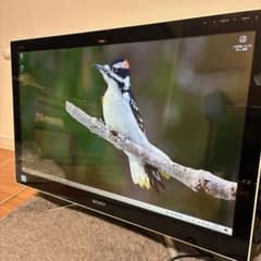 SONY VAIO　一体型PC　SVL241B17N SONY VAIO 一体型PC SVL241B17N ジャンク扱い Lシリーズ - メルカリ