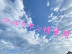 専用ページのサムネイル