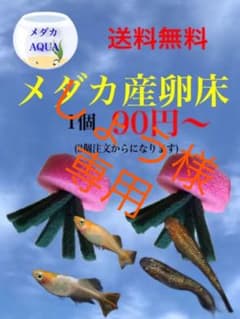 メダカ産卵床 10個セットのサムネイル
