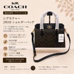 COACH シグネチャー スモールキャリーオール CH174 - メルカリ