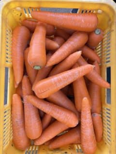 茨城県産　（愛紅）５キロのサムネイル
