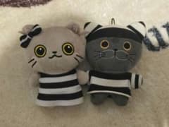 スパドラ 飯島颯 生誕グッズ ひめちゃん くまくん ぬいぐるみ - メルカリ
