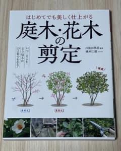 庭木・花木の剪定のサムネイル