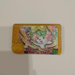 鶏ガラ様 リクエスト 2点 まとめ商品のサムネイル