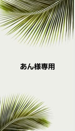 あん様専用のサムネイル