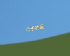 カシミヤマフラー 2025AW タータンポケット・キュイール・アップリケ 