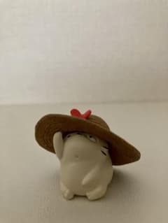 コニャラ⭐︎のサムネイル