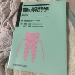 歯の解剖学 - メルカリ