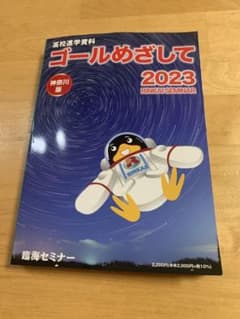 ゴール目指して　臨海セミナーのサムネイル