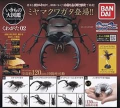 いきもの大図鑑 くわがた 02 全種のサムネイル