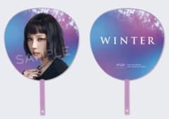 aespa ウィンター BIGうちわ HYPER LINE in JAPAN - メルカリ