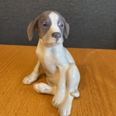 m34849376473_1.jpg?1707370533