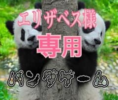 パンダゲーム　エリザベス様専用のサムネイル