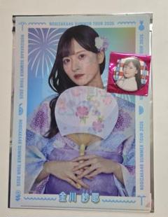 金川紗耶 クリアファイル まとめ売り 14 乃木坂46 金川紗耶 クリアファイル - メルカリ