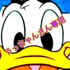 ロット、ロットケースのサムネイル