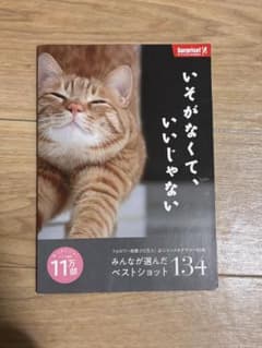 いそがなくて、いいじゃない　猫写真集のサムネイル