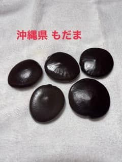 沖縄県 もだま 種子 5個セットのサムネイル