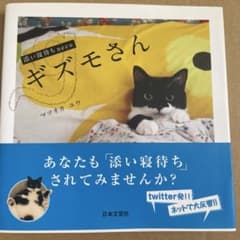 ギズモさん : 添い寝待ちnecoのサムネイル