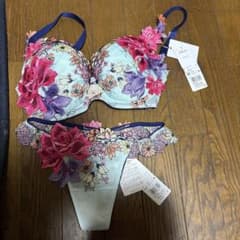 サルート秋の七草ブラE75、ソングM、キャミソールLサイズ3点セット サルート秋の七草ブラE75、ソングM、キャミソールLサイズ3点セット