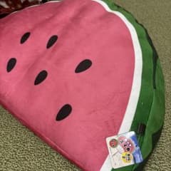 くっっっっっっっっっそデカいスイカのぬいぐるみのサムネイル