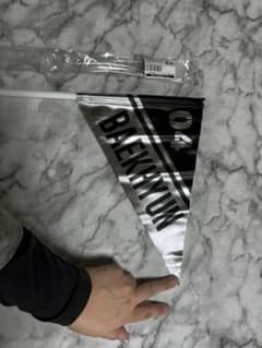EXO Baekhyun フラッグのサムネイル
