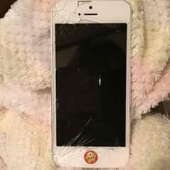 iPhone5本体のサムネイル
