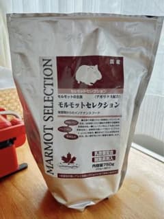モルモットセレクションのサムネイル