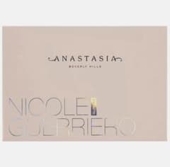 ANASTASIA BEVERLY HILLS ハイライトパレット (限定版)のサムネイル