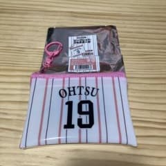 ピンクフル シークレットマルチポーチ OHTSU 19のサムネイル
