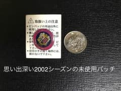 Cerezo Osaka Badge, 2002 Season