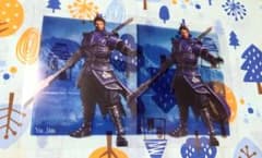 真・三國無双8 于禁グッズセット まとめ売り 10/15までの出品】 真・三國無双8 于禁 クリアカード - メルカリ