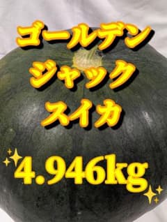 664匿名発送！千葉県産ゴールデンジャックスイカ　高糖度１玉 4.946kgのサムネイル