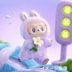 m34881320164_1.jpg?1756211485