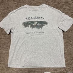 Tシャツ Lサイズ SHEINのサムネイル