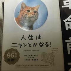 人生はニャンとかなる。 たった1分で人生が変わる心理学 最貧困シングルマザーのサムネイル