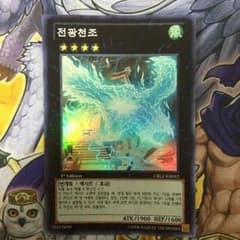 電光千鳥 韓国語のサムネイル
