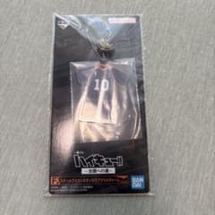 하이큐 이치 반 쿠지 전국으로의 길 F상 아크릴 매력 히나타 쇼요