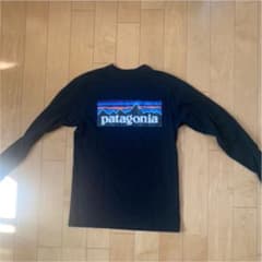 Patagonia ロンTのサムネイル