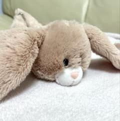 ニキ NICI タレミミウサギ　ペンケース　ぬいぐるみのサムネイル