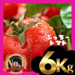 ミニトマト 6キロ 野菜 熊本 おやつ 弁当 おかず ミネラル リコピン