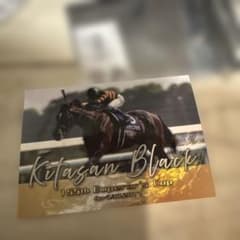 武豊展 トレーディングカード シークレット キタサンブラック - メルカリ